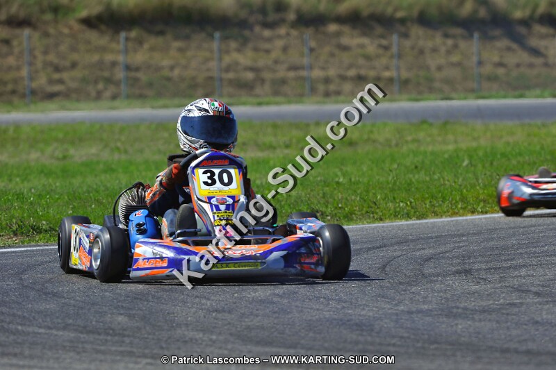 DSC_ (1545).jpg
